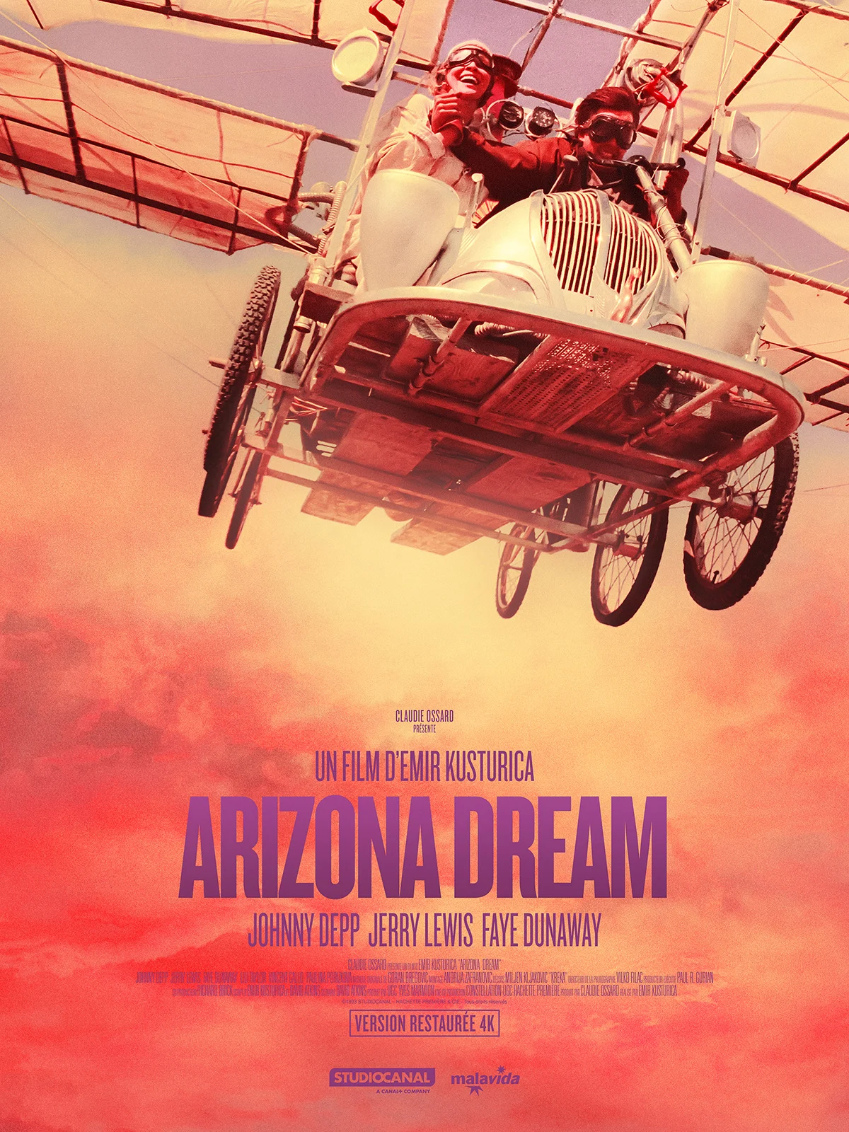 Affiche du film Arizona Dream